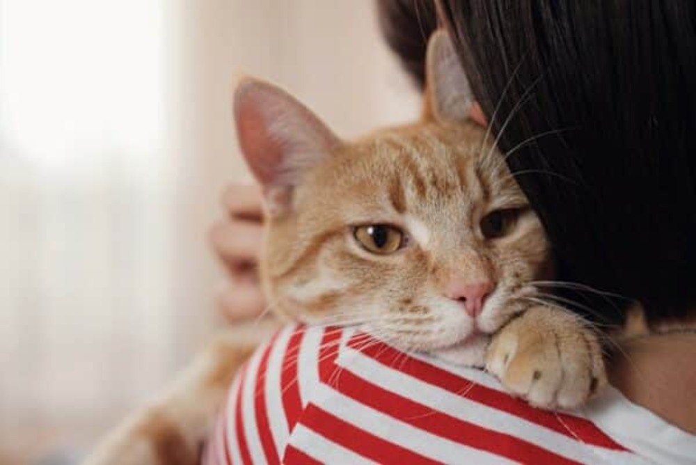 a-woman-hugging-her-cat_U