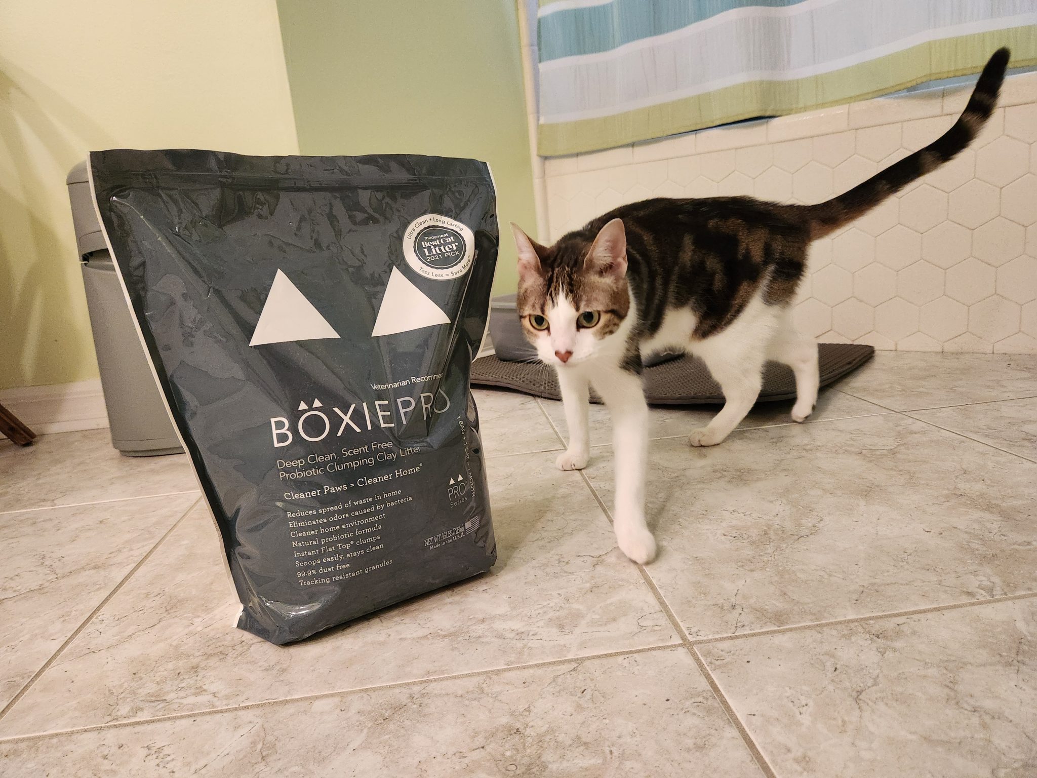 Boxie Cat Litter