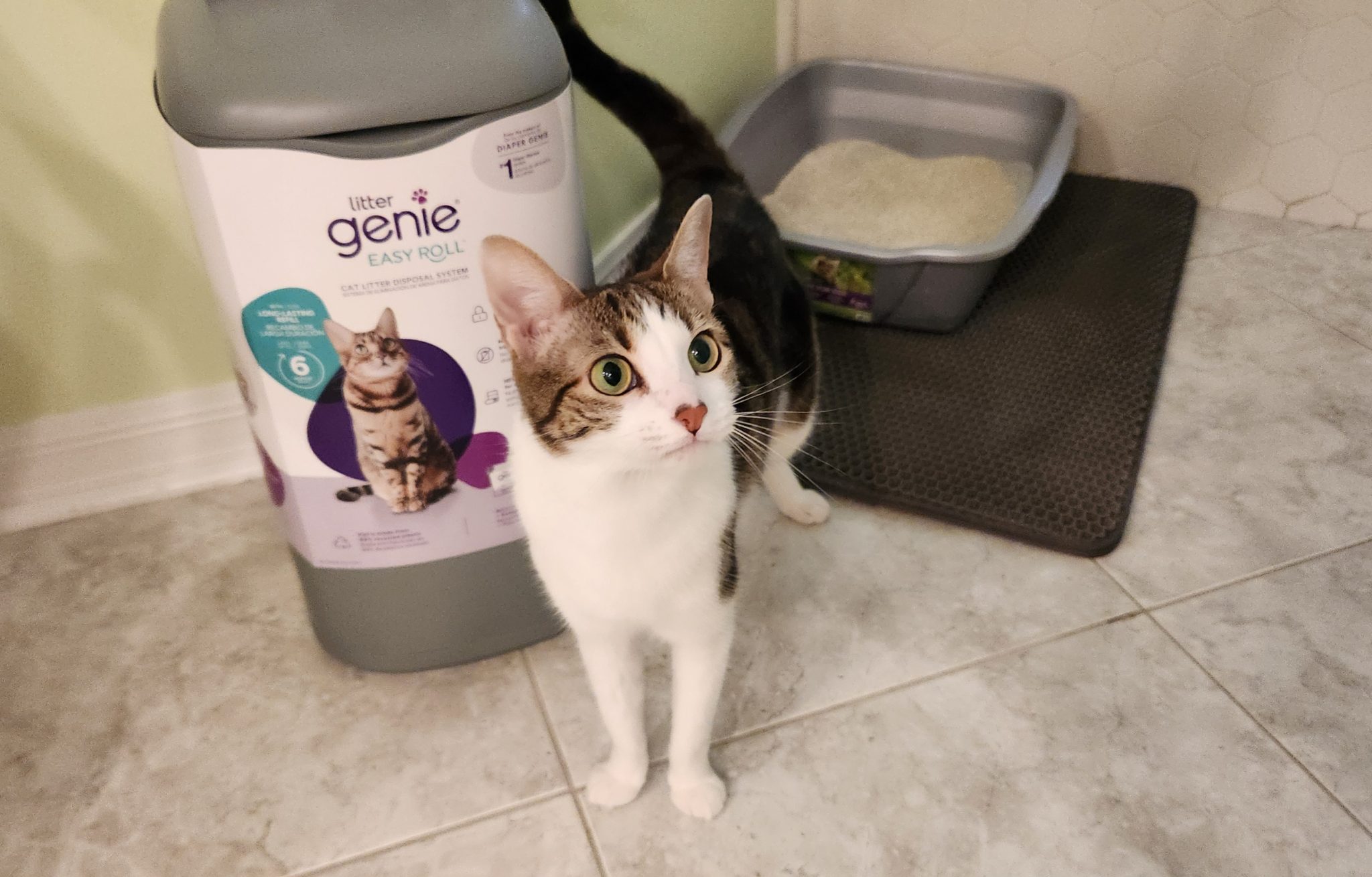 Litter Genie Cat Litter Pail