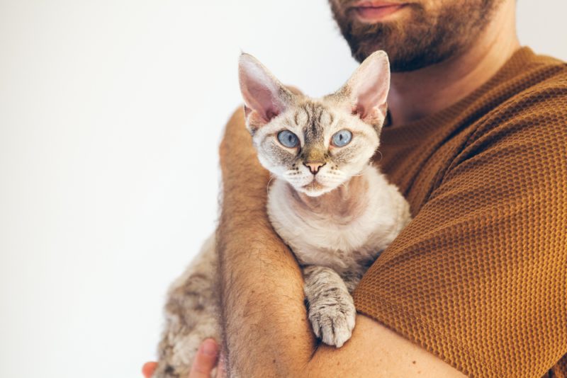 male owner holding his devon rex cat