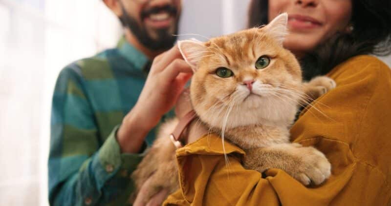 Woman holding a cat