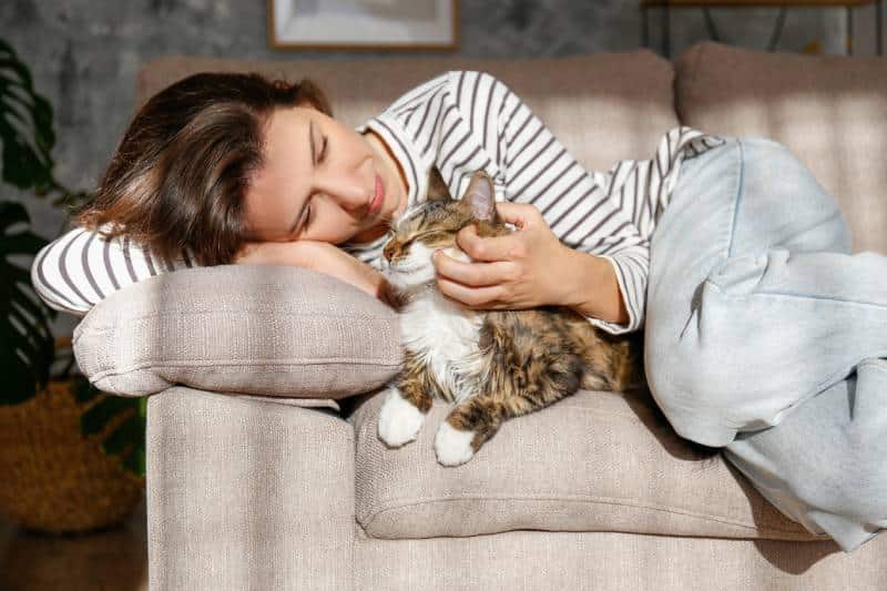 young woman holding cute siberian cat with green eyes