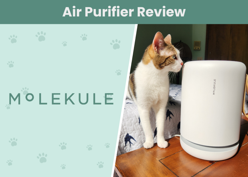 Molekule Air Purifier